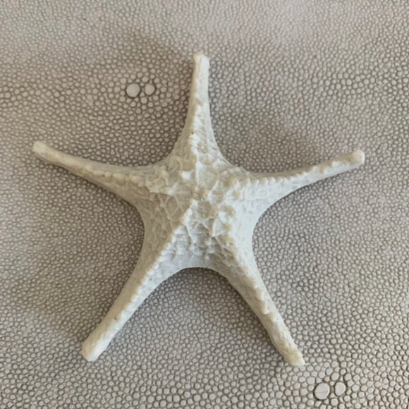 Starfish decor Set of 2 - Picture 9 of 16